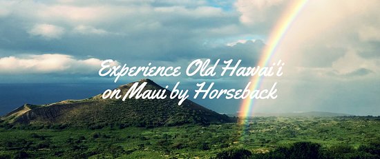 Triple L Ranch Maui Private Custom Horseback Tours