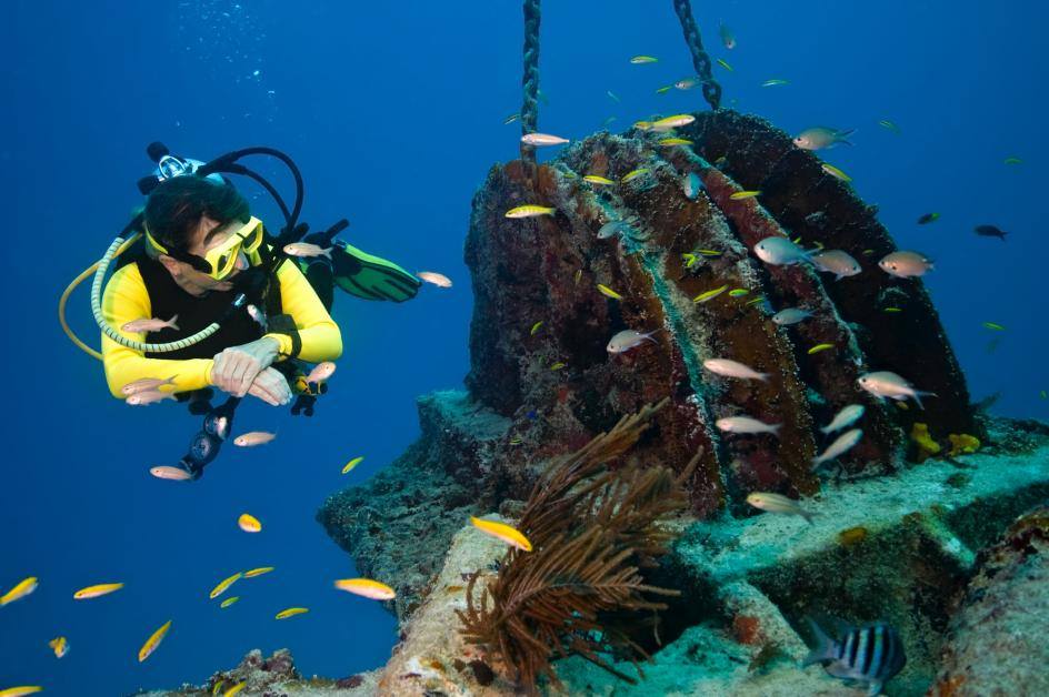 Banzai Divers Hawaii