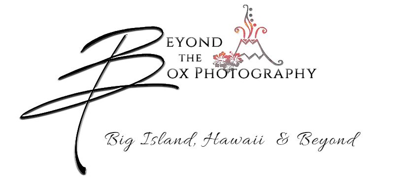 Beyond the Box Photography