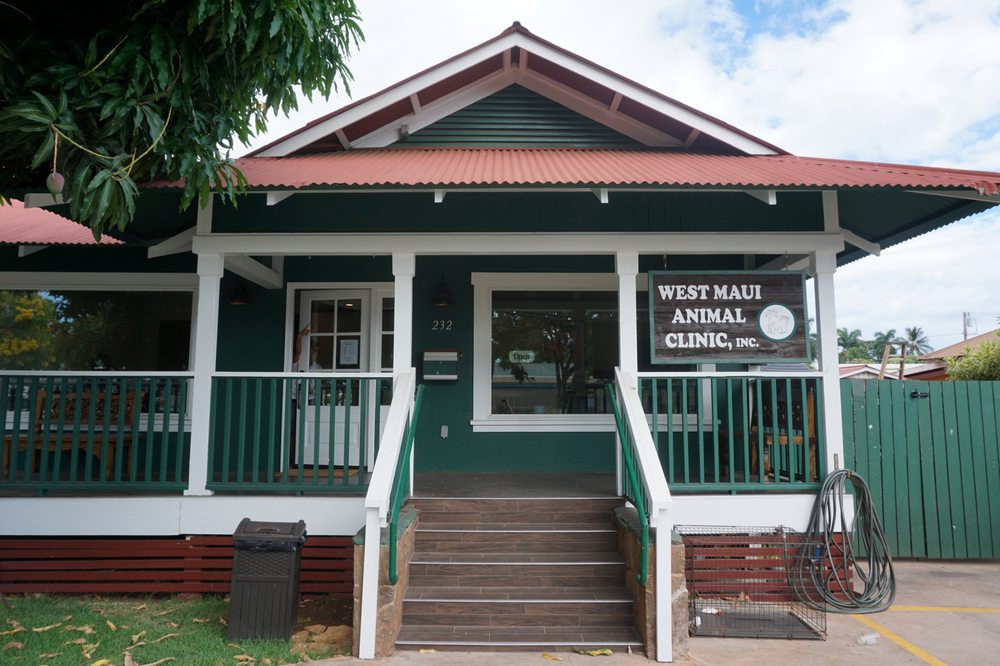 West Maui Animal Clinic